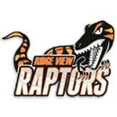 Ridge View High School logo