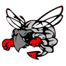 Hilldale High School logo