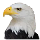 Kopperl High School logo