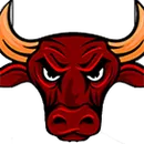 Ethan High School logo