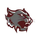 Mt Vernon High School - Mt. Vernon logo