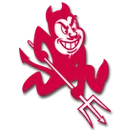 Bradford High School logo