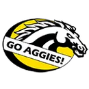 Dansville High School logo
