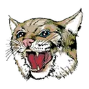 Cassadaga Valley High School logo