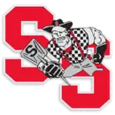 Sturgis Brown High School logo