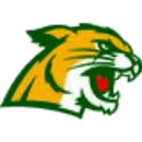Northwestern Area School District logo