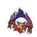 Liberty High School - Mountain View logo