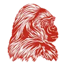 Davenport High School logo