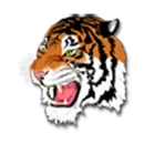 Hutsonville High School logo