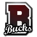 Buckfield Jr-Sr High School logo