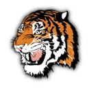 Palmer High School logo