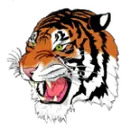 ROWVA High School logo