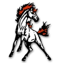 Barnwell High School logo
