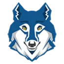 Virtus Academy logo