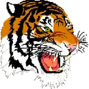 Thorp High School logo