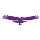 Stargate Charter School logo
