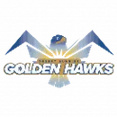 Desert Sunrise High School logo