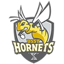 Conservatory Green High School logo