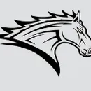 Bridgeport Baptist Academy logo