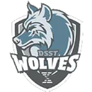 College View High School logo