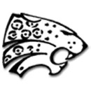 Stephenson High School logo